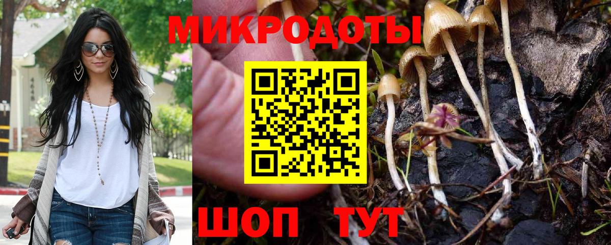 Галлюциногенные грибы ЛСД Родники